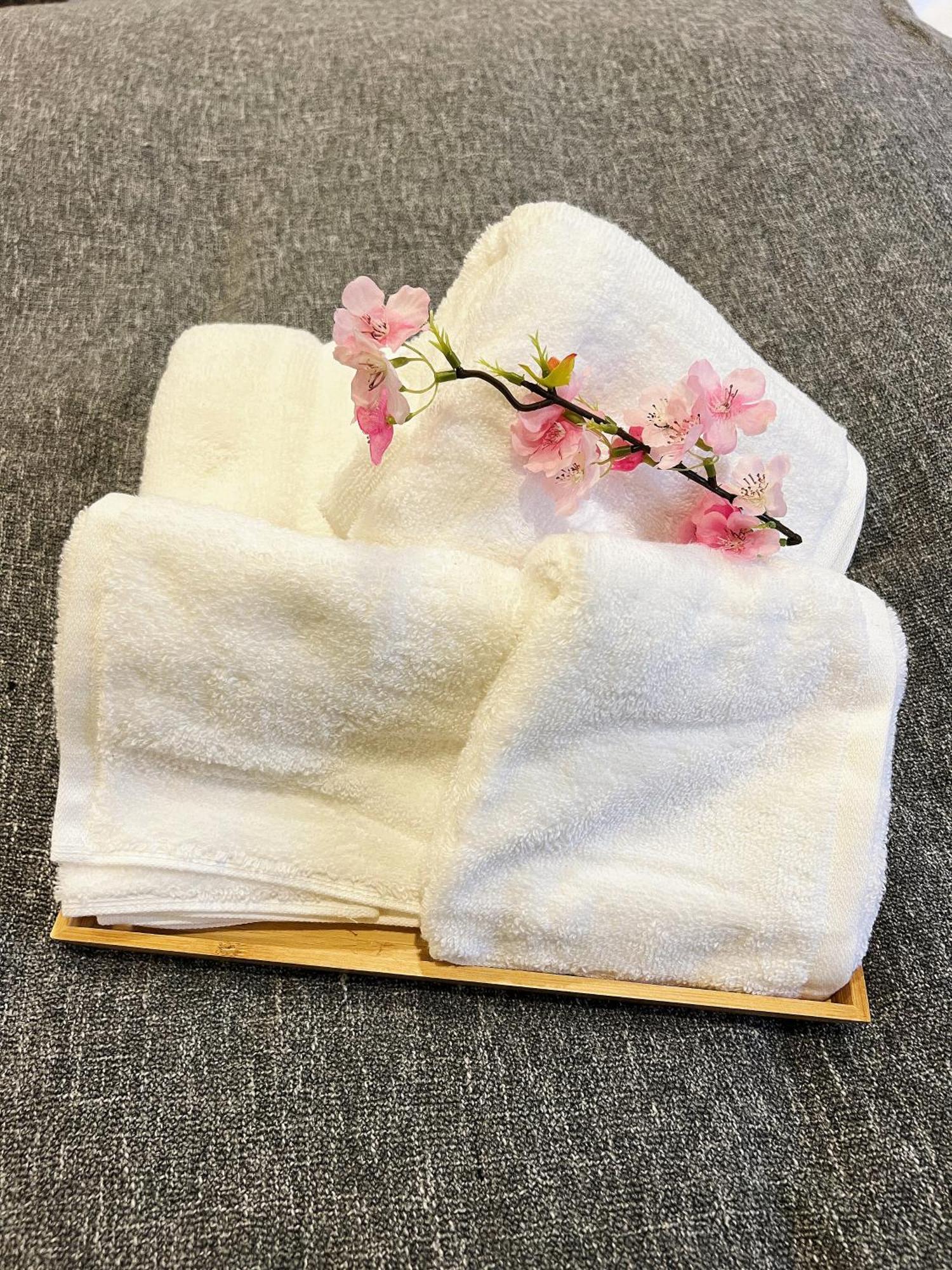 Akihabara K アパート