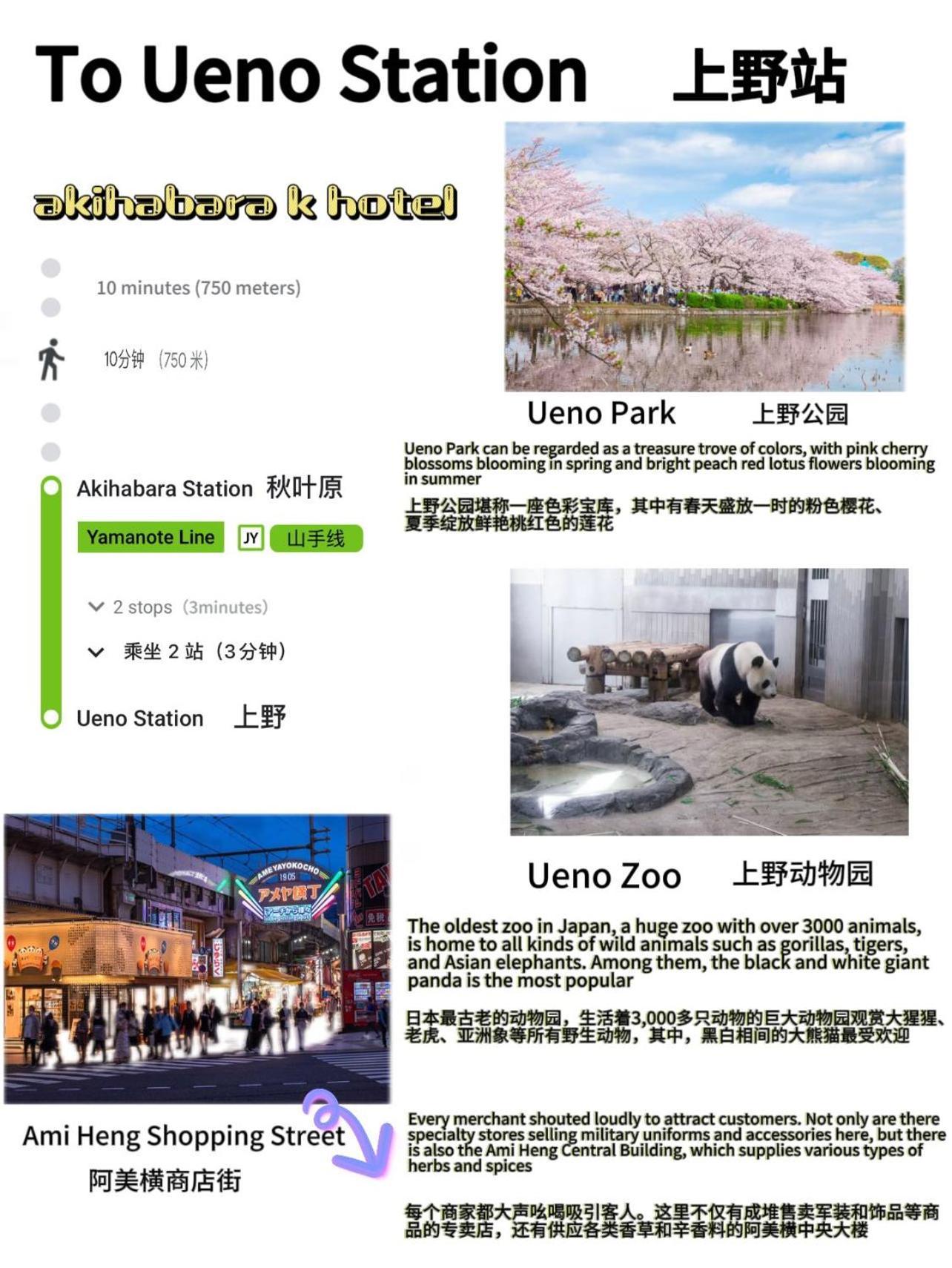 Akihabara K *